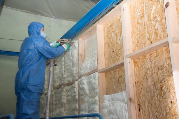 Best Home Insulation Services  in Sonora, TX